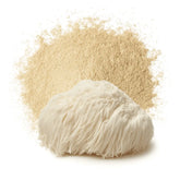 Lion’s Mane Mushroom Raw Powder Bulk | Hericium erinaceus Pure Pom Pom Mushroom